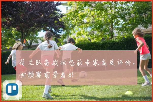 荷兰队备战状态获专家高度评价，世预赛前景看好