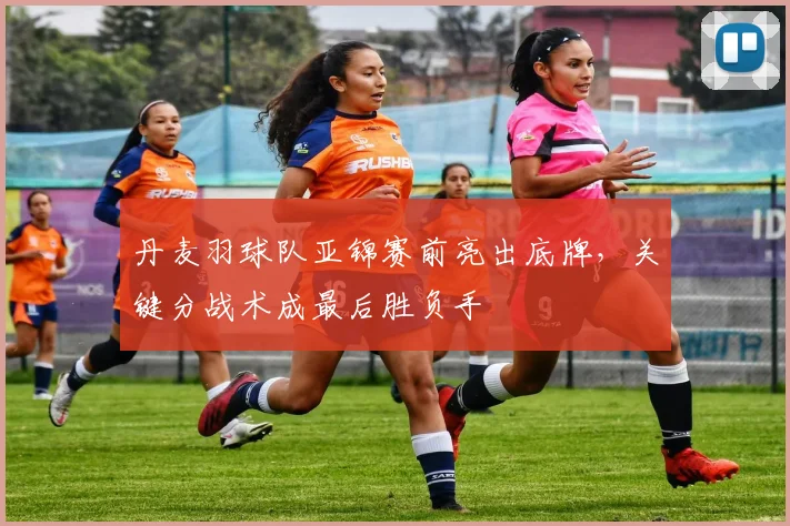 丹麦羽球队亚锦赛前亮出底牌，关键分战术成最后胜负手