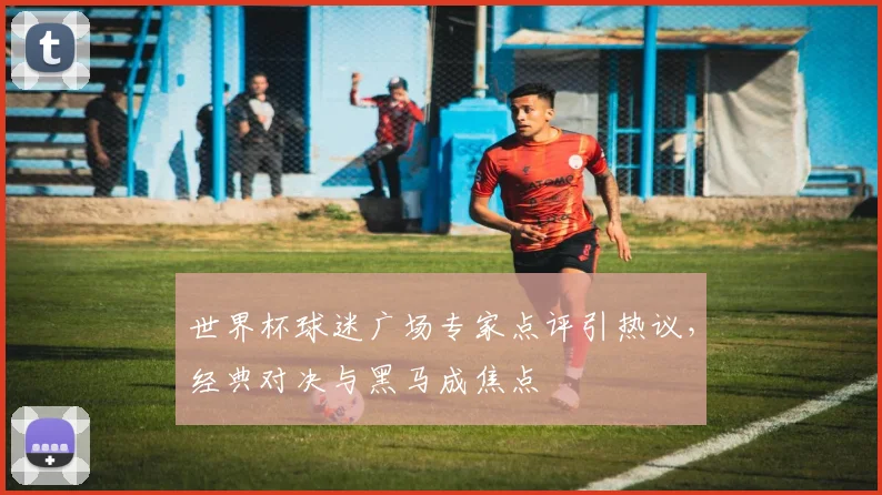 世界杯球迷广场专家点评引热议，经典对决与黑马成焦点