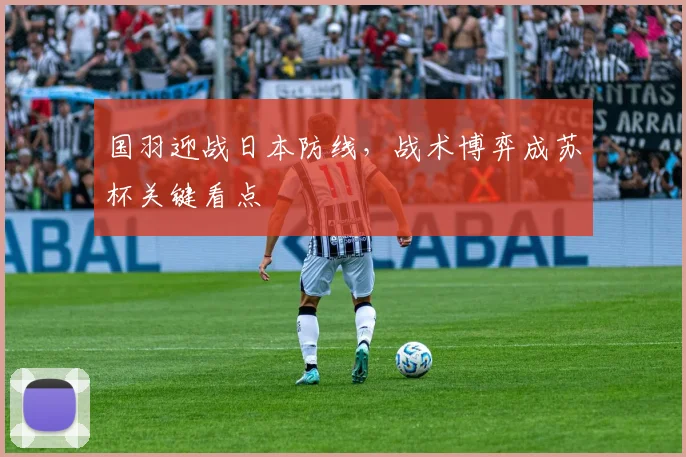 国羽迎战日本防线，战术博弈成苏杯关键看点