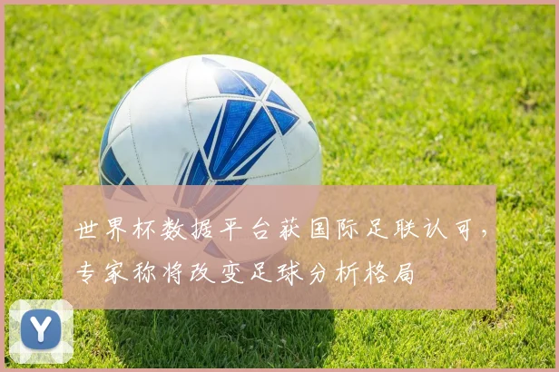 世界杯数据平台获国际足联认可，专家称将改变足球分析格局